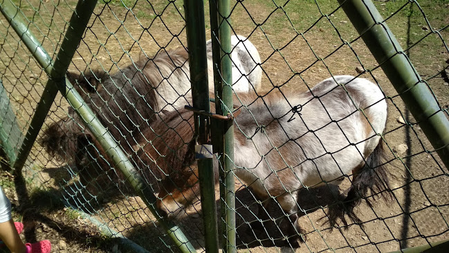 Parque Botânico e Zoológico da Quinta do Rebentão Horário de abertura