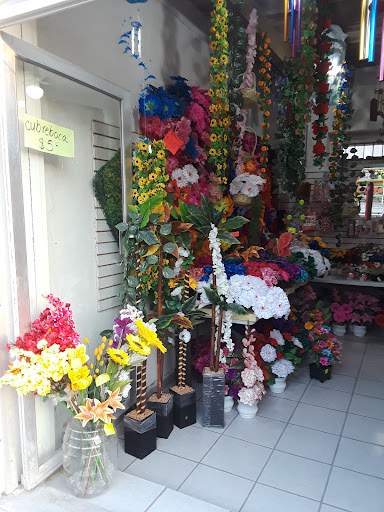 Novedades Cris – San Buenaventura