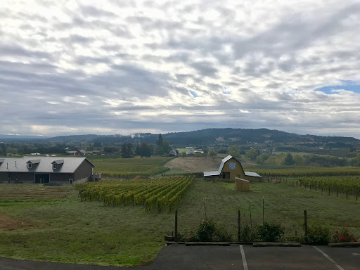 Winery «Bergström Winery & Tasting Room», reviews and photos, 18215 NE Calkins Ln, Newberg, OR 97132, USA