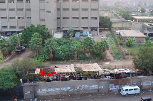 Waste management Cairo