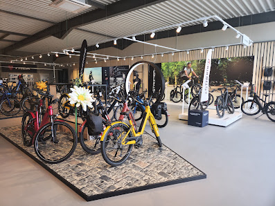 Fietsen Vergauwe Staatsbaan 2, 9991 Maldegem, Belgique