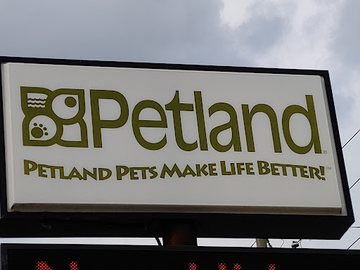 Pet Store «Petland», reviews and photos, 1600 Turner McCall Blvd, Rome, GA 30161, USA