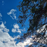 Photo n°6 de l'avis de Scherb.h fait le 04/03/2024 à 12:36 sur le  Hotel Lago di Braies à Prags