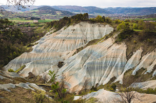 Photo n°5 de Morel Natalene - Arbres et chemins à Saint-Julien-du-Pinet ()