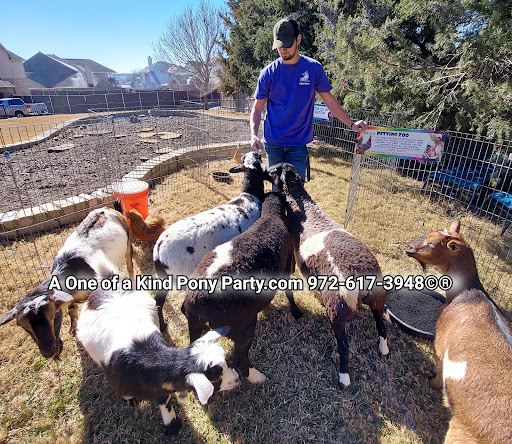 Zoo «A One of A Kind Pony Party», reviews and photos, 912 Bells Chapel Cir, Waxahachie, TX 75165, USA