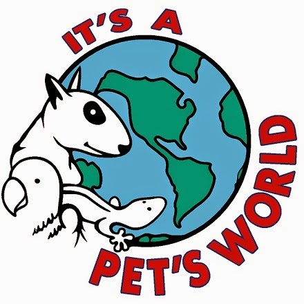 Pet Store «Pets World», reviews and photos, 147 Bridge St, Weymouth, MA 02191, USA