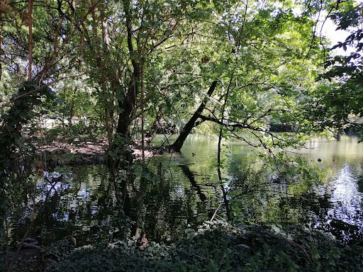 Passeggiata parco Montanelli