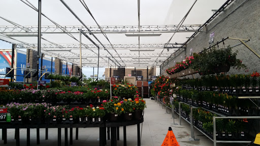 Department Store «Walmart», reviews and photos, 1151 Old US Hwy 90 E, Castroville, TX 78009, USA