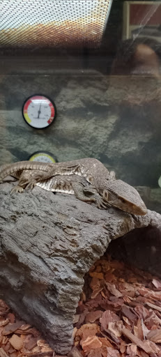 Pet Supply Store «Petco Animal Supplies», reviews and photos, 1086 Killingly Commons Drive, Dayville, CT 06241, USA