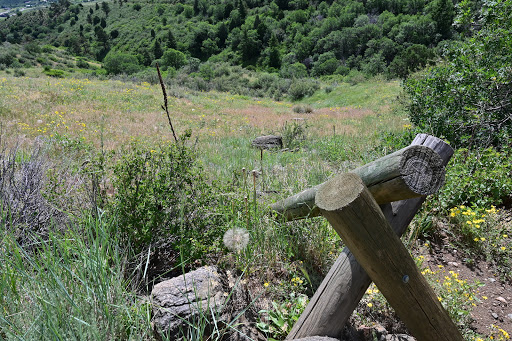 Tourist Attraction «Mount Falcon Park», reviews and photos, Castle Trail, Morrison, CO 80465, USA