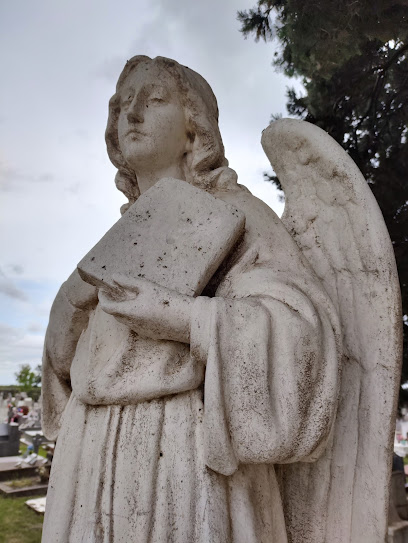 Cementerio Parroquial Divina Misericordia (Santa Anita)