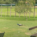 Photo n°4 de l'avis de bianca.i fait le 01/09/2022 à 13:36 sur le  Ristorante/pizzeria All'Orto de' Pecci à Siena