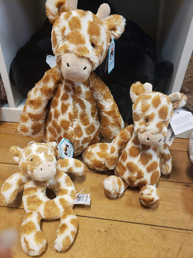 Toy Store «Ali Cat», reviews and photos, 200 N Greensboro St, Carrboro, NC 27510, USA