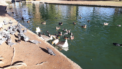 Park «Encanto Park», reviews and photos, 2605 N 15th Ave, Phoenix, AZ 85007, USA