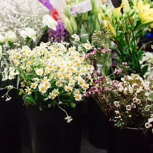 Florist «The Posy Place», reviews and photos, 2757 Washington Blvd, Ogden, UT 84401, USA