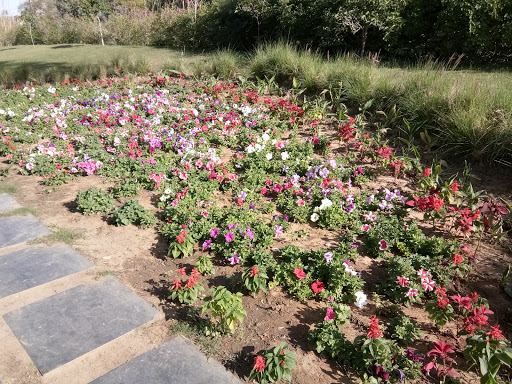 Botanical gardens in Jaipur
