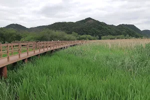 Jeongyang Wetland Ecological Park image