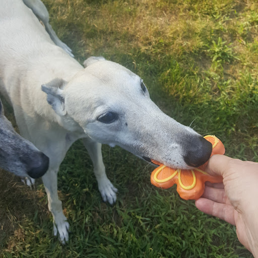 Pet Store «Park Avenue Birds & Pet Supply», reviews and photos, 120 W Center St, West Bridgewater, MA 02379, USA