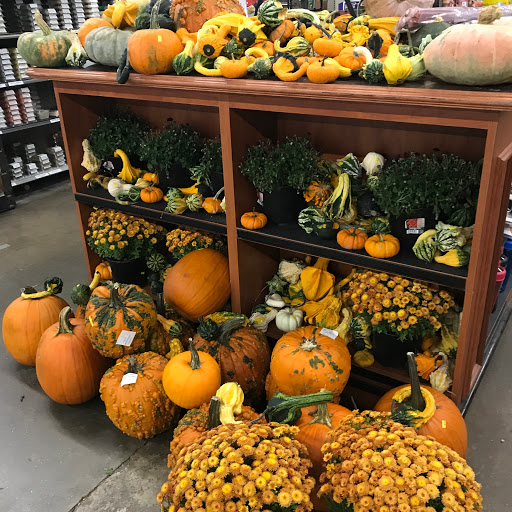 Grocery Store «Hopey and Co.», reviews and photos, 45 S French Broad Ave, Asheville, NC 28801, USA