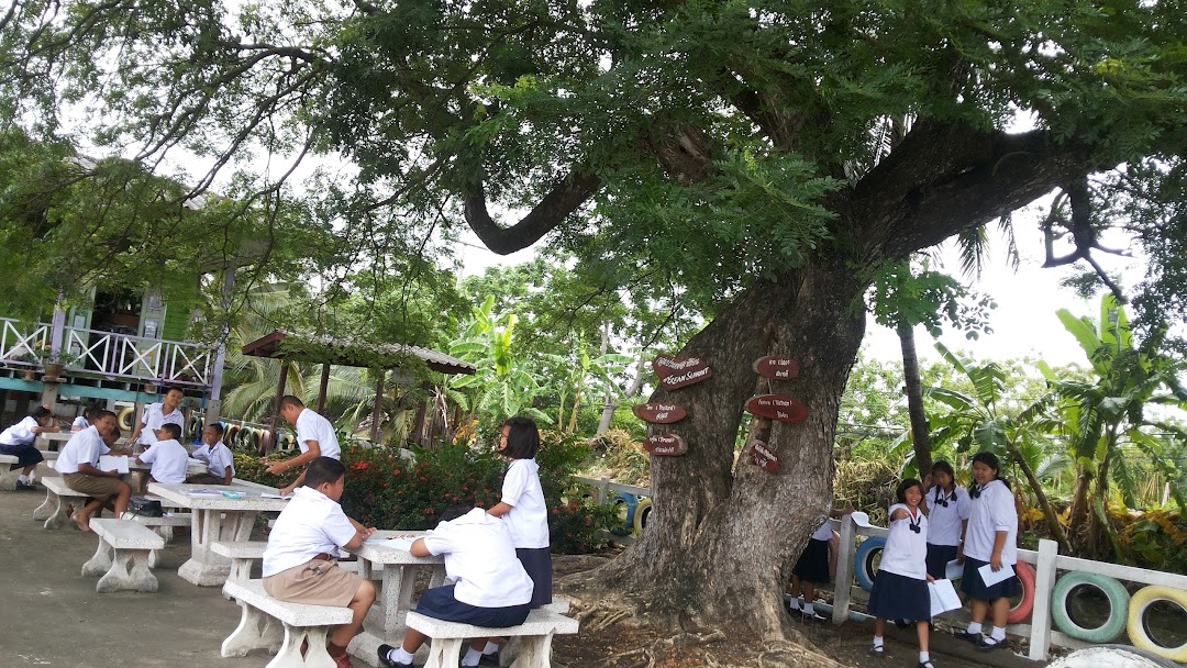 โรงเรียนบ้านดอนไผ่