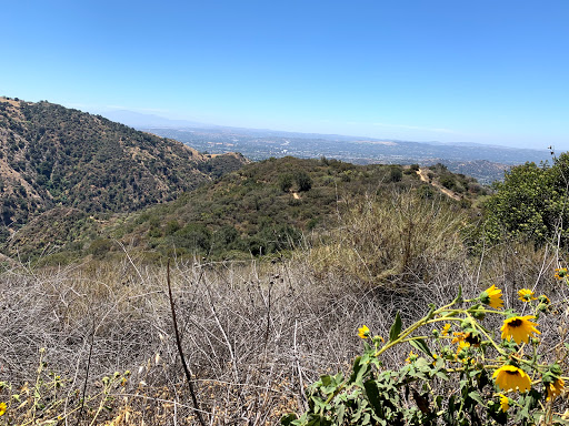 Big Dalton Canyon Trail