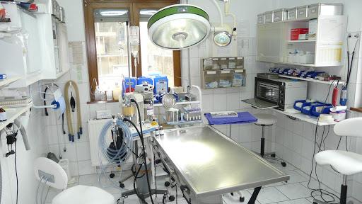 Dr. Leontin-Nicolae Vitan unter Rheinstetten, Baden Württemberg