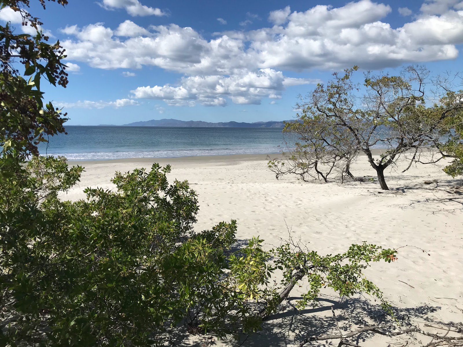 Foto de Cabuyal beach localizado em área natural