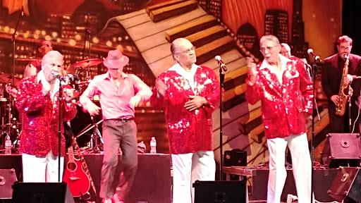 Performing Arts Theater «Ford Community & Performing Arts Center», reviews and photos, 15801 Michigan Ave, Dearborn, MI 48126, USA