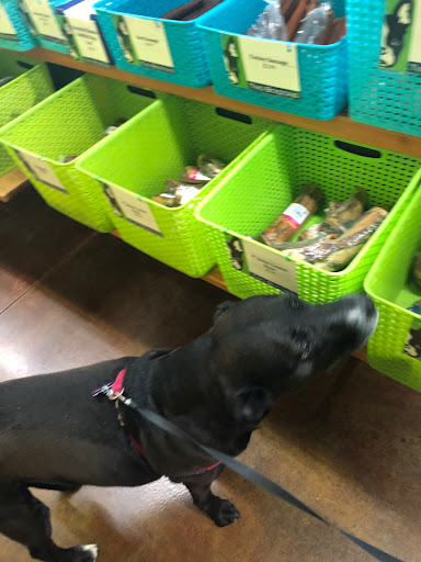 Pet Supply Store «Two Bostons», reviews and photos, 2523 W 75th St, Naperville, IL 60540, USA