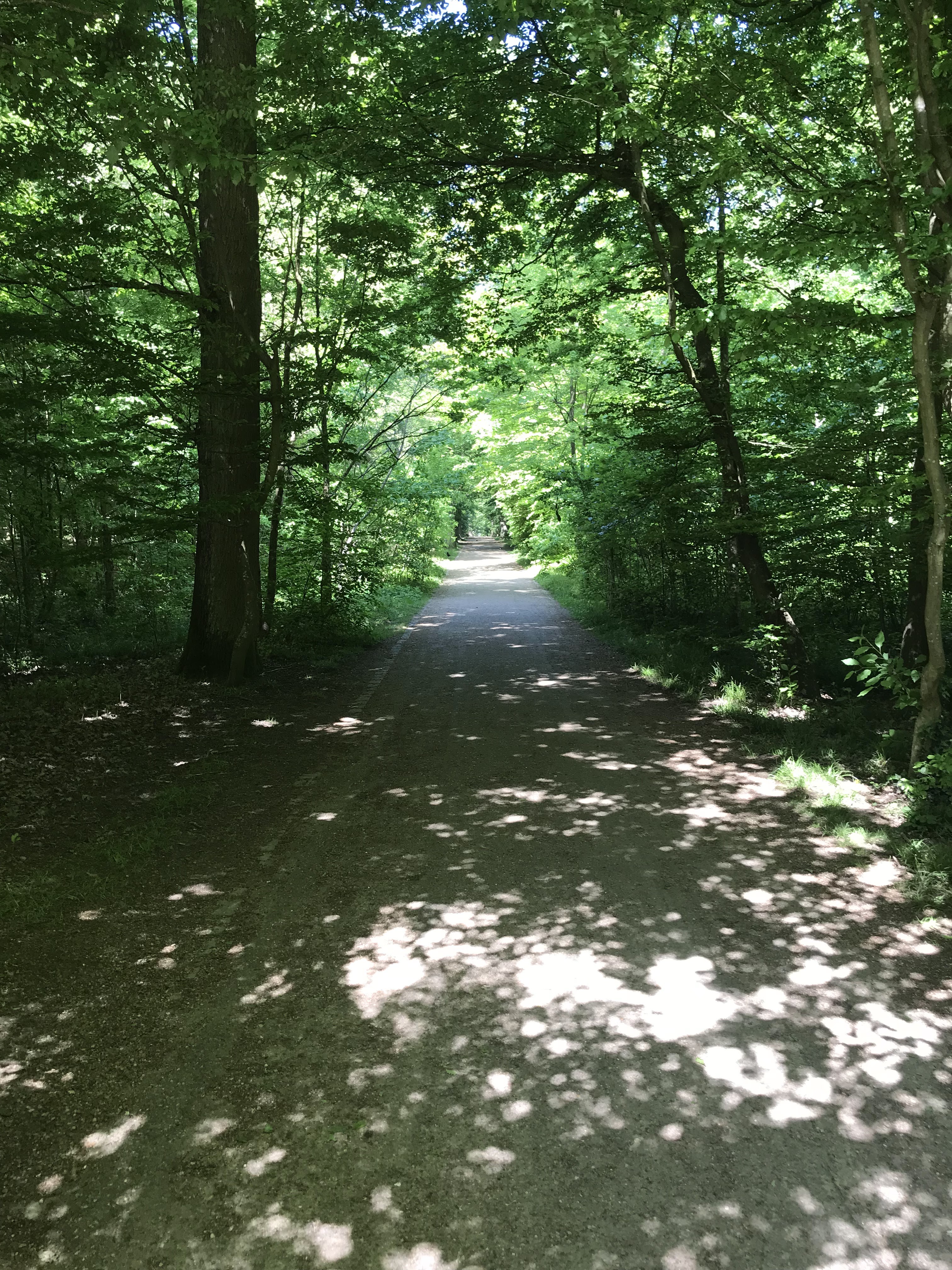 Photo n° 3 de l'avis de Julien. fait le 21/06/2018 à 13:34