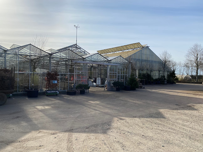 Lundhede Planteskole - En del af Kollund Planteskole