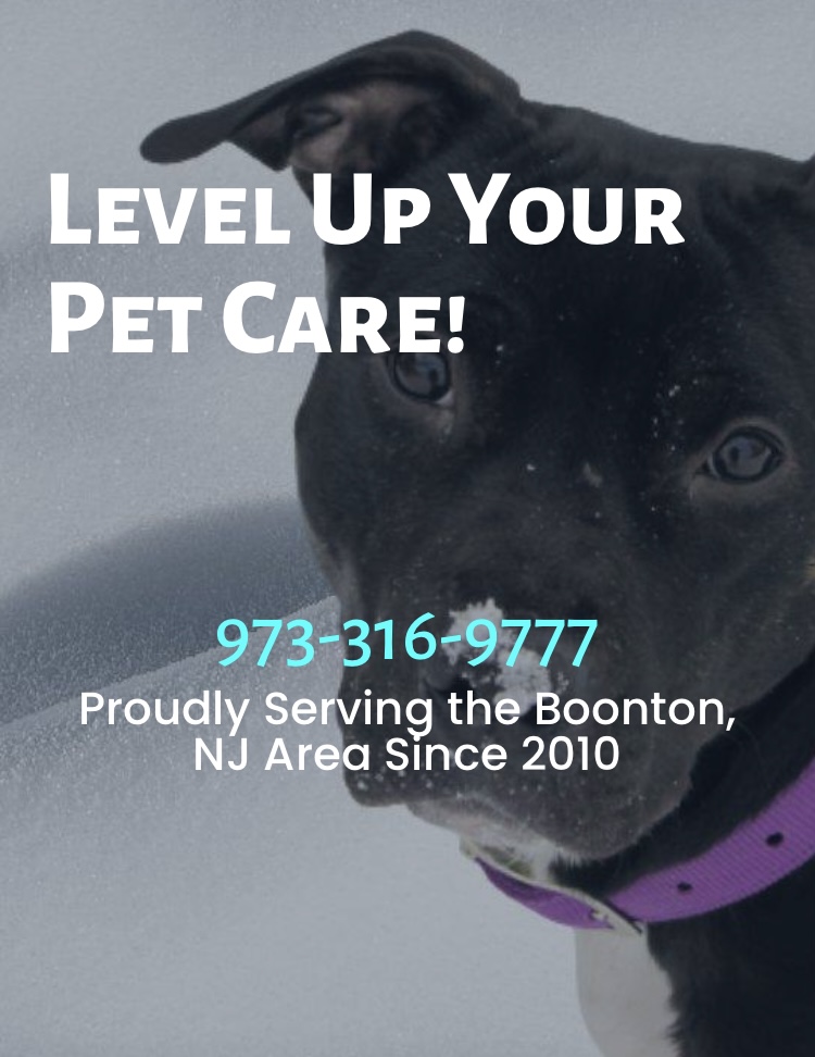 Canine Companion Pet Service, LLC