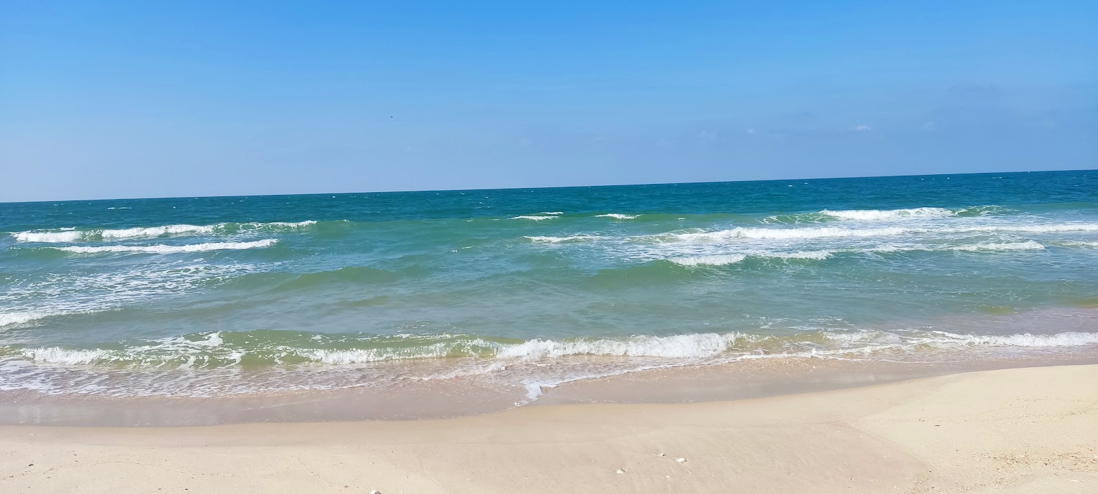 Shokry Al Kotaly Beach的照片 带有碧绿色纯水表面