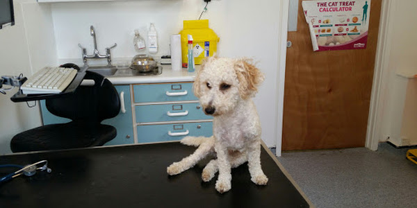 Croydon PDSA Pet Hospital