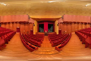 Teatro Politeama Boglione image