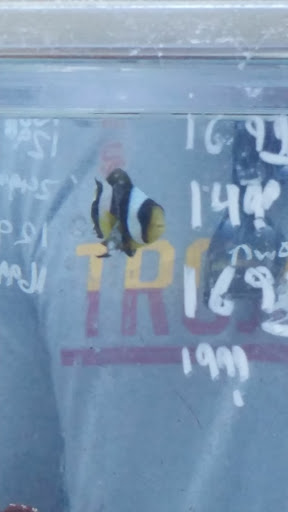 Aquarium Shop «Exotic Aquariums», reviews and photos, 7399 Bird Rd, Miami, FL 33155, USA