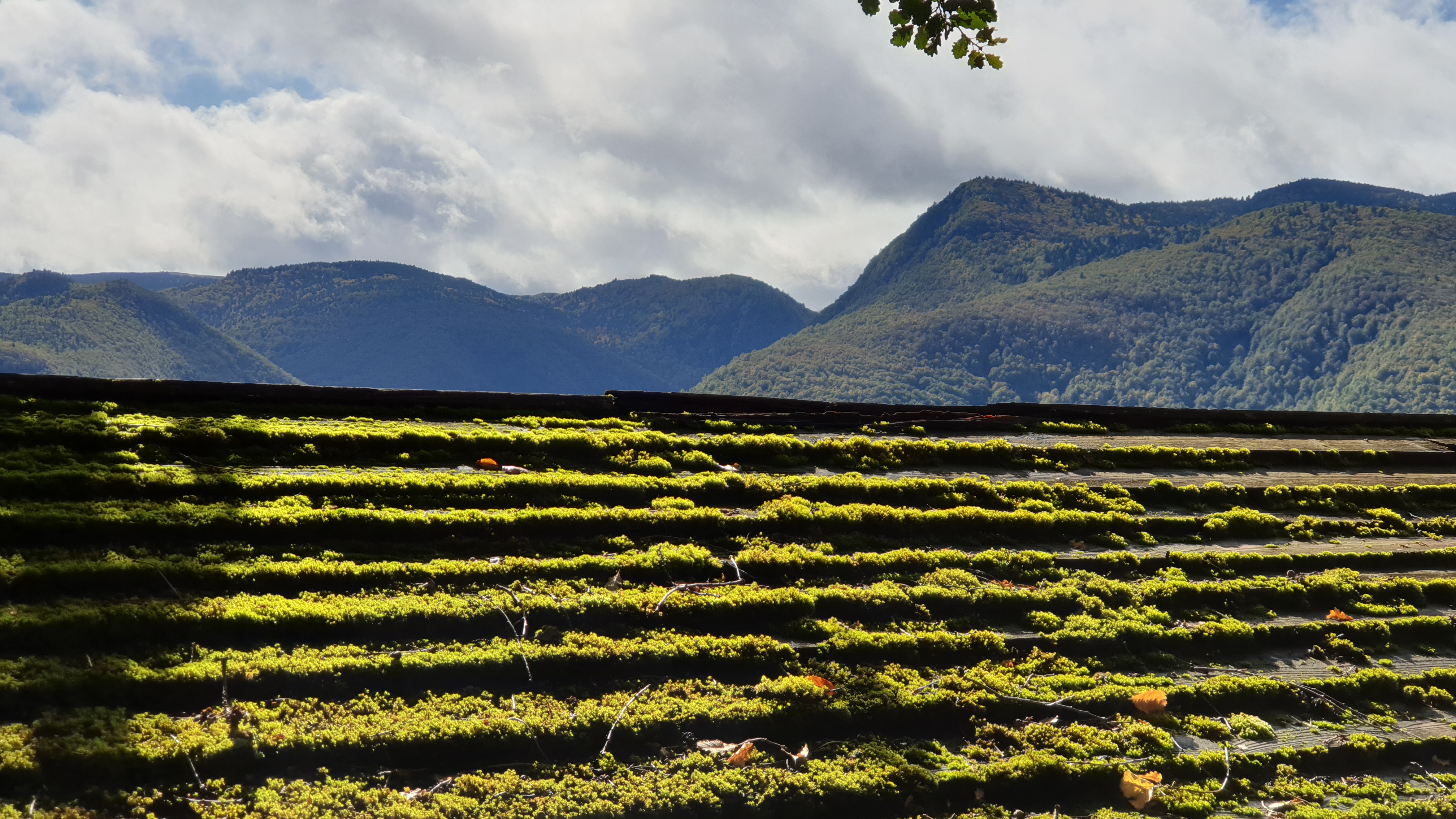 Photo n° 4 de l'avis de Jean-Éric.l fait le 15/10/2019 à 12:16