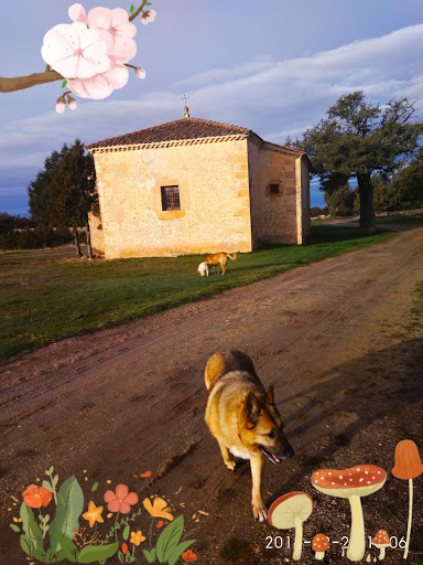 Casa Rural Mi Rinconcillo en Valleruela de Pedraza