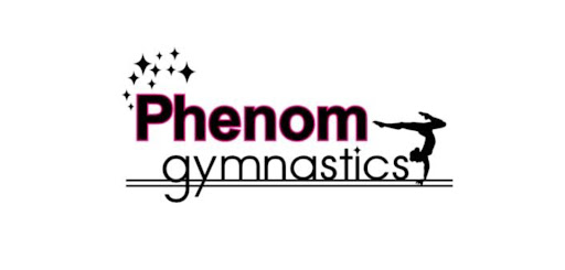 Gymnastics Center «Phenom Gymnastics», reviews and photos, 122 Kirkland Cir, Oswego, IL 60543, USA