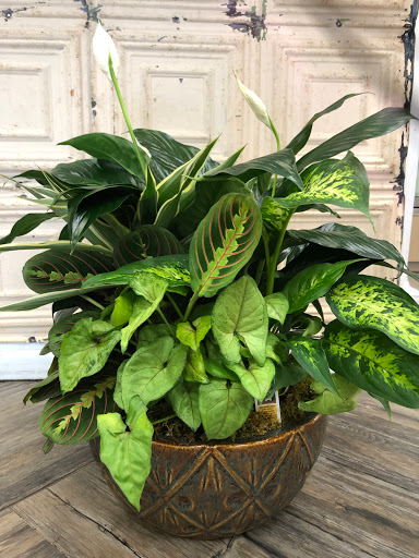 Flower Designer «Windsor Florist», reviews and photos, 201 W Main St, Mesquite, TX 75149, USA