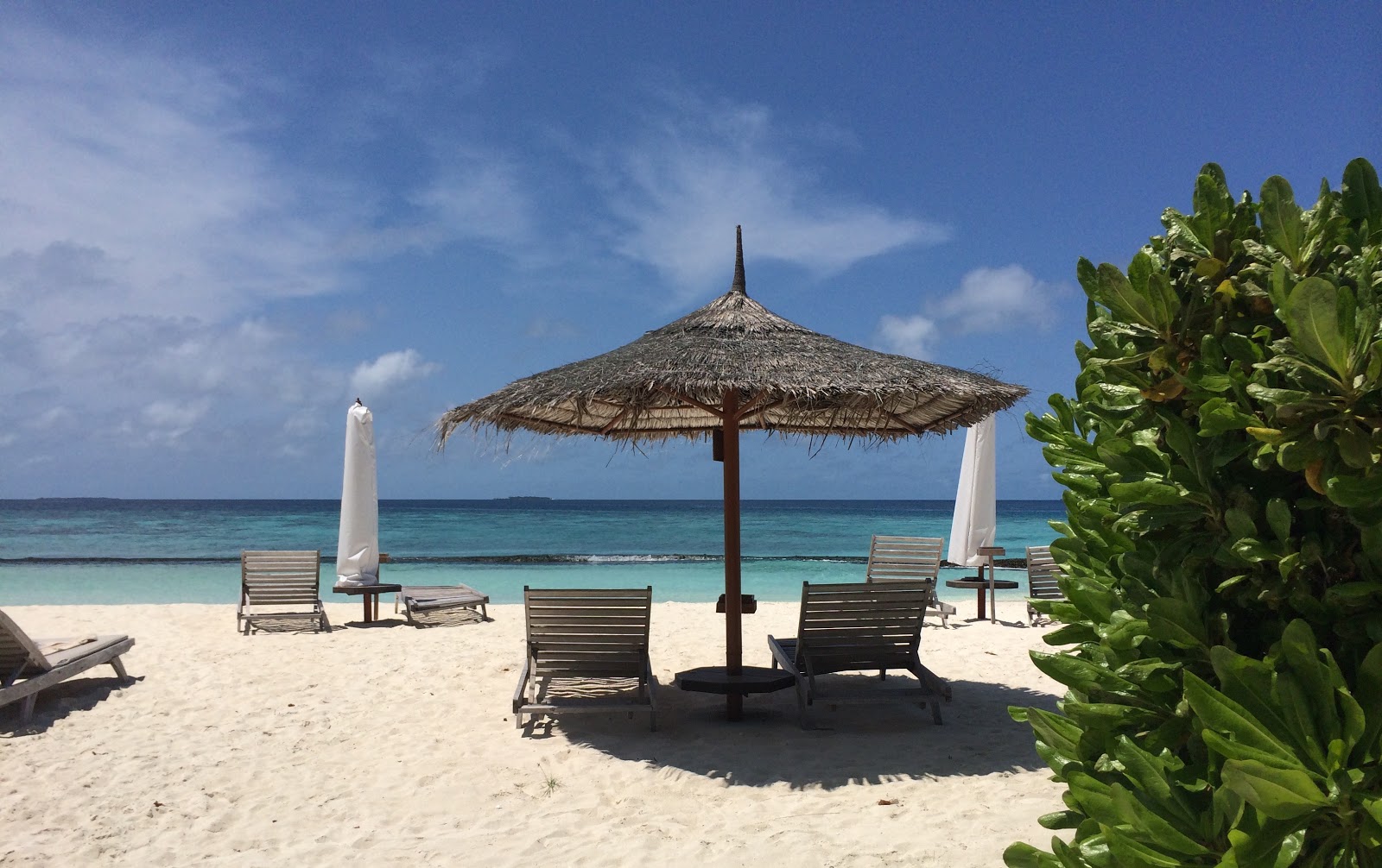 Gangehi Island Resort photo #7