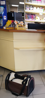 Clinique veterinaire saint laurent du var à Saint-Laurent-du-Var