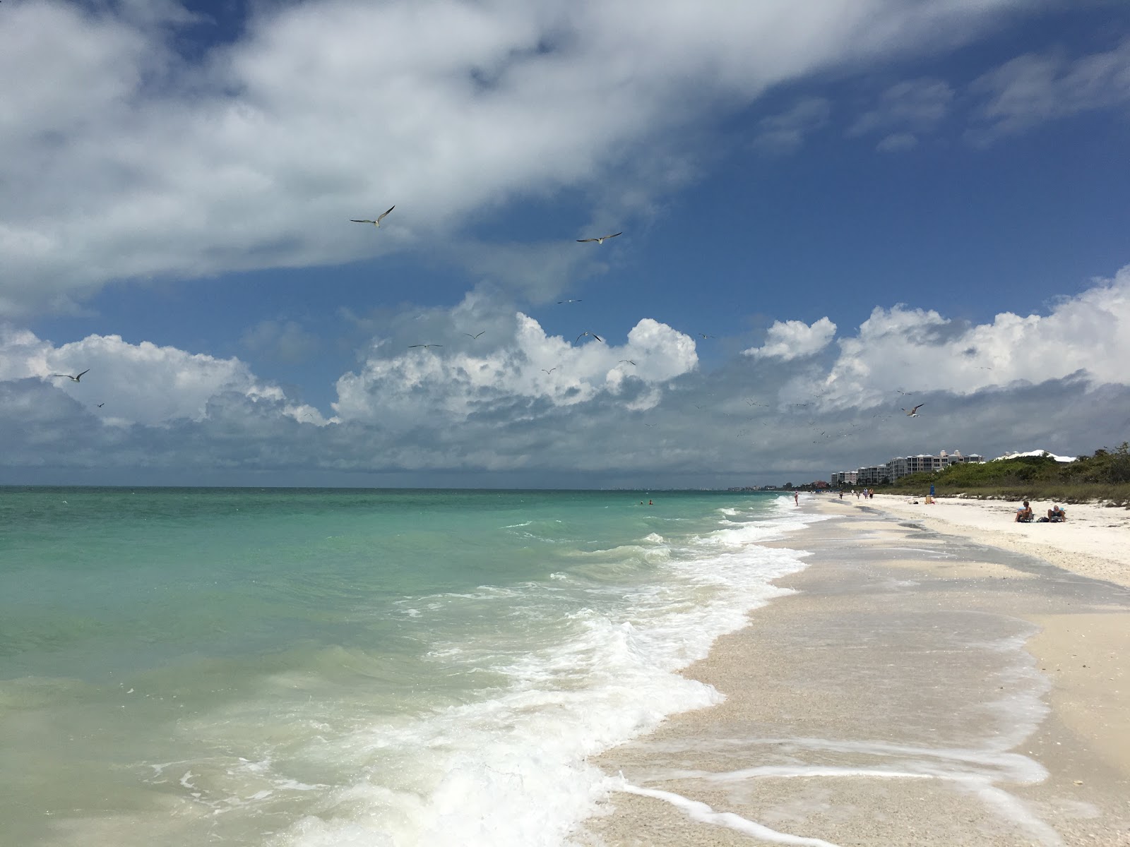 Barefoot beach photo #8