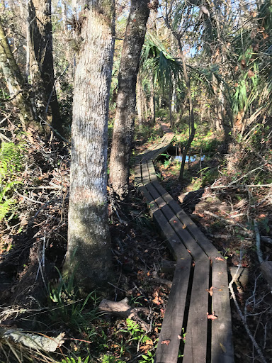 Florida Trail Phillip’s Rd/Joshua Creek Trailhead