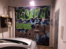 Iguana Studios