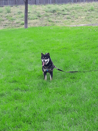 Park «Pring Ranch Park», reviews and photos, 5264 Prairie Grass Ln, Colorado Springs, CO 80922, USA