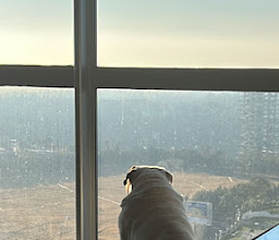 High Park Santa Fe photo