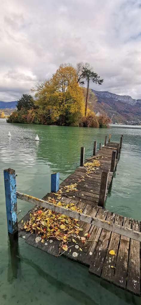 Photo n° 14 de l'avis de pascalsaintjames. fait le 20/11/2023 à 14:11