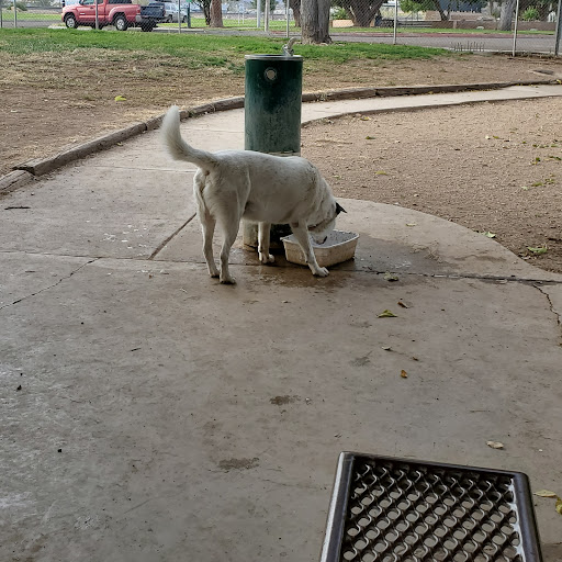 Park «Lewis Kingman Park», reviews and photos, 2201 E Andy Devine Ave, Kingman, AZ 86401, USA