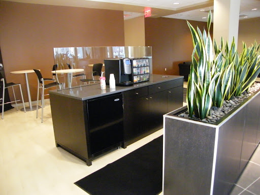 Acura Dealer «Acura of Huntington», reviews and photos, 359 W Jericho Turnpike, Huntington, NY 11743, USA